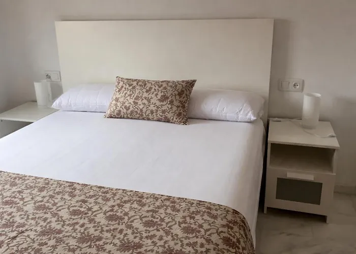 Wallada Brillante * 코르도바